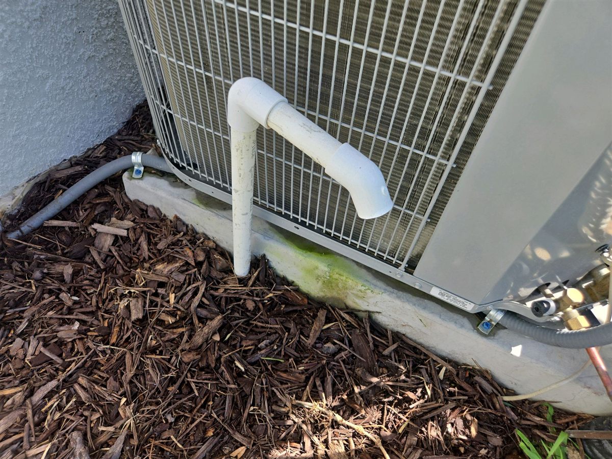 A condensate drain line ending on the outdoor unit pad with the discharge pointed at the unit and green algae staining on the pad